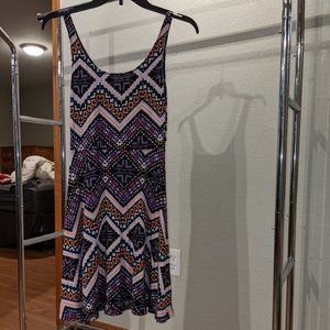 Express Skater Dress